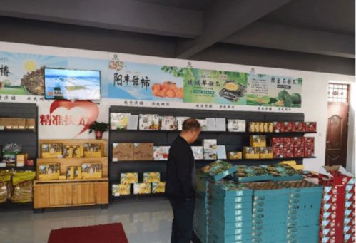 罗敷镇 电子商务来助力，扶贫产品销售忙